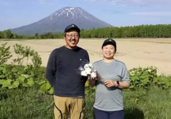 日本最北でコットン栽培成功、新ブランドに　北海道・ニセコ、創業100年の農園が奮闘