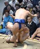 「休場明けの横綱大の里が2連敗　豊昇龍、霧島ら2連勝発進」の画像1