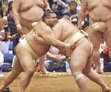 「春巡業、高安が順調な調整ぶり　腰痛ケアに創意工夫」の画像1