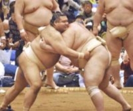 春巡業、高安が順調な調整ぶり　腰痛ケアに創意工夫