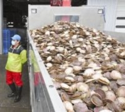 水産物輸入停止「納得できない」　北海道知事が苦言