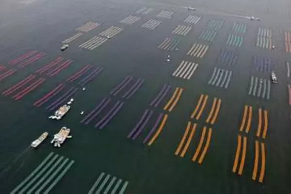 佐賀のり、日本一奪還へ　販売額、兵庫抑え4年ぶり