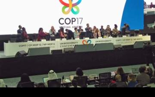自然回復目標「達成に深い懸念」　国連の生物多様性条約会議で採択