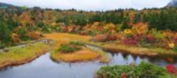 行くべき26の旅行先に日本選出　英国雑誌、国立公園評価