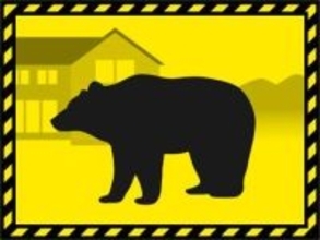 クマに襲われ男性けが、奥多摩町　ロシア国籍30代、重傷か