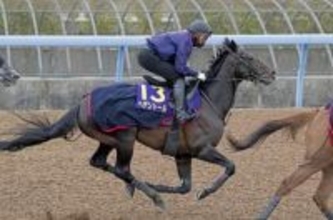 天皇賞・春連覇狙うヘデントール　競馬、最終追い切りで態勢整える