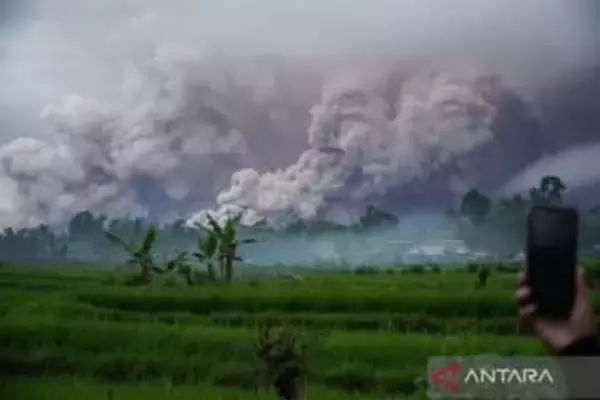 インドネシアで大規模噴火　日本への津波有無調査