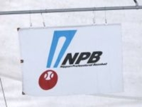 NPB「プロ野球川柳」を募集　受賞者にサイン入り記念ボード