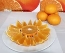 高級「紅まどんな」解禁　愛媛のかんきつ、甘さが魅力