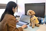 「ペットは家族、会社に同伴出勤できる制度　急激に少子化の韓国、企業が福利厚生で導入」の画像1