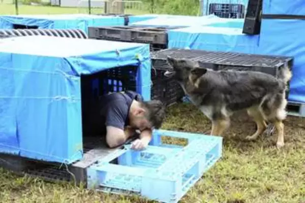 多くの命救いたい、消防士ら救助犬育成に力　千葉のNPO、災害時の円滑連携目指す