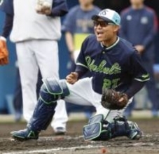 中村悠、WBCに意気込み　ヤクルト、着々と調整