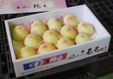 「岡山の清水白桃、本格出荷　「甘み増し」なめらか食感」の画像1