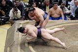 「藤凌駕、1学年上の学生横綱破る　痛めた左足、弱音吐かずに奮闘」の画像1