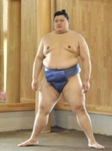 両横綱の優勝争い、安青錦も注目　大相撲九州場所9日開幕