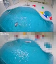 カスハラで飼育員にモザイク　ラッコ動画、鳥羽水族館