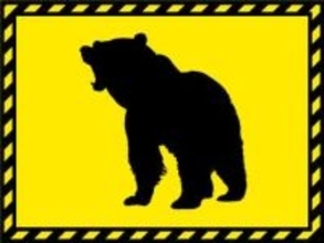 クマに襲われ40代女性けが　富山市内、命に別条なし