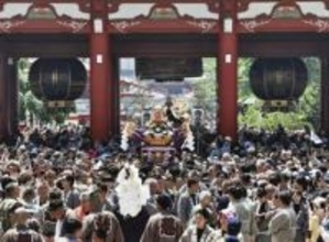 浅草三社祭みこし100基に熱気　米国人「クールだ」