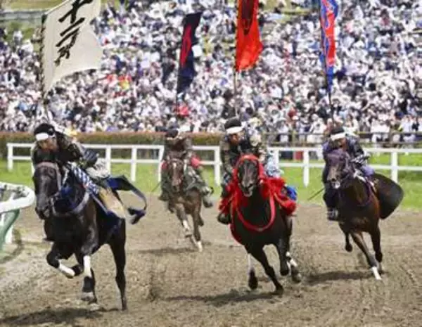 甲冑まとい騎馬武者疾走、福島　「相馬野馬追」見せ場、観客熱狂