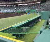 「甲子園に転落防止ネット　カメラマン席の負傷受け」の画像1