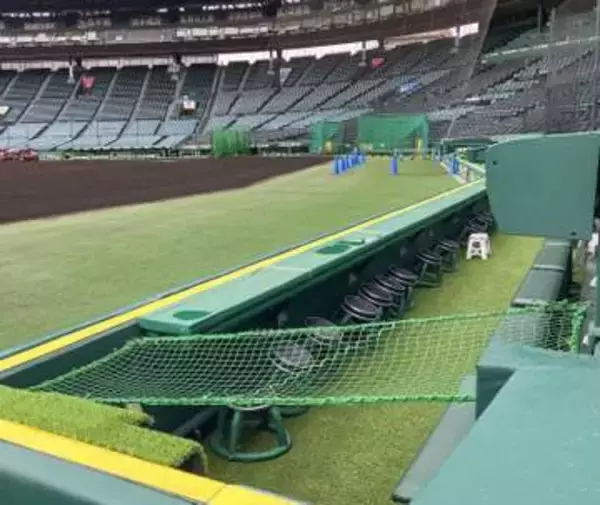 甲子園に転落防止ネット　カメラマン席の負傷受け