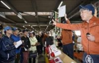 宮崎マンゴー、1箱55万円　「太陽のタマゴ」初競り