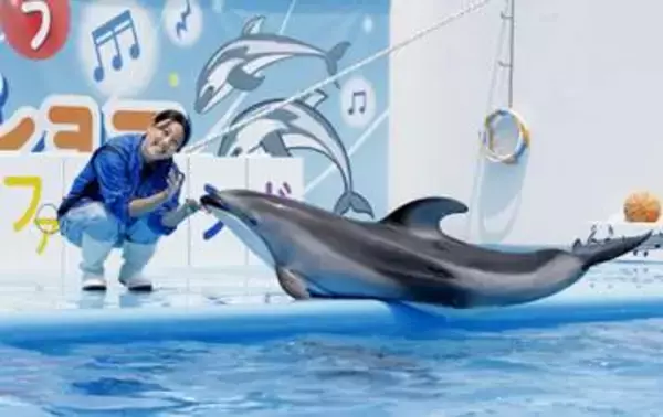 イルカショーで元気届ける　能登出身の若手トレーナー
