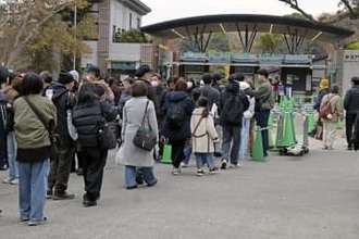 別れ惜しみ上野動物園パンダに列　返還発表後初の週末