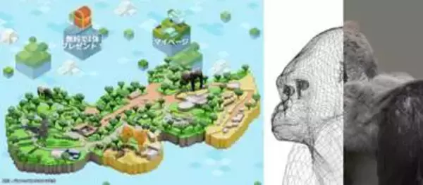 人気動物の3Dモデル販売　千葉市動物公園、NFTで