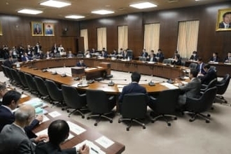 選挙制度改革の各党案報告、衆院　来春念頭に結論、削減は継続審議