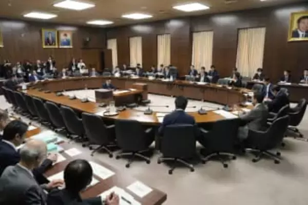 選挙制度改革の各党案報告、衆院　来春念頭に結論、削減は継続審議