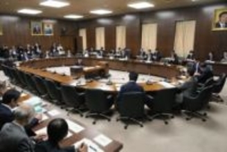 選挙制度改革の各党案報告、衆院　来春念頭に結論、削減は継続審議