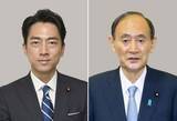 「菅元首相会食に小泉防衛相出席　グループ巡り意見交換か」の画像1