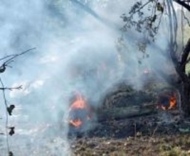 ウクライナ走る中古救急車　三重の団体、平和願い寄贈