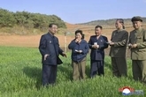 北朝鮮で大干ばつへの対策指示　朴泰成首相、麦と稲に影響懸念