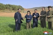 北朝鮮で大干ばつへの対策指示　朴泰成首相、麦と稲に影響懸念