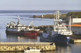 ロシア大統領、択捉島入りは軍艦　異例の海路で島の沖合に到着
