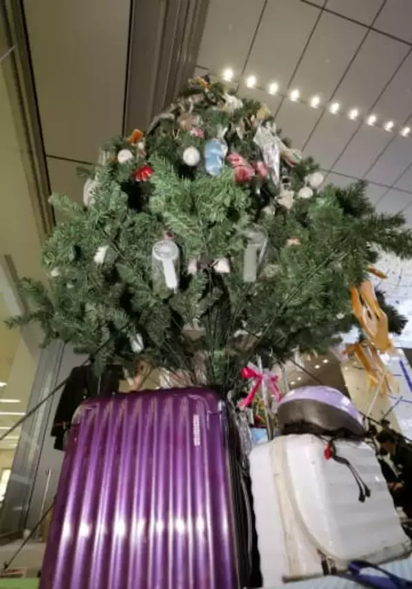 忘れ物で彩るXマスツリー　JR博多駅、25日まで点灯