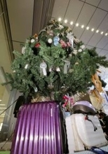 忘れ物で彩るXマスツリー　JR博多駅、25日まで点灯