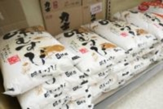 コメ5キロ、4235円　2週連続値下がりも高値圏