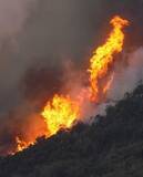 「岡山の82歳男性を書類送検へ　山林火災、重過失失火容疑」の画像1