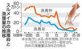 「26年のスルメイカ漁獲枠3倍超　水産庁が正式決定」の画像1