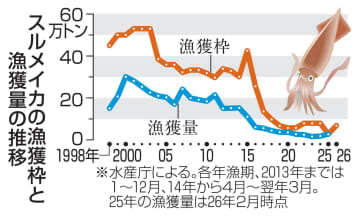 26年のスルメイカ漁獲枠3倍超　水産庁が正式決定