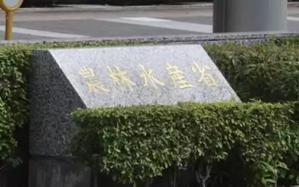 農業白書「令和の米騒動」を反省　実態把握に消極的で価格高騰