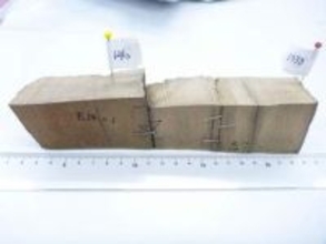 鎌倉時代に大量の放射線が発生　太陽フレア、青森の埋没樹木分析