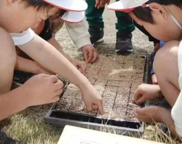 御巣鷹慰霊に向け児童らが種まき　群馬・上野村、日航機事故41年