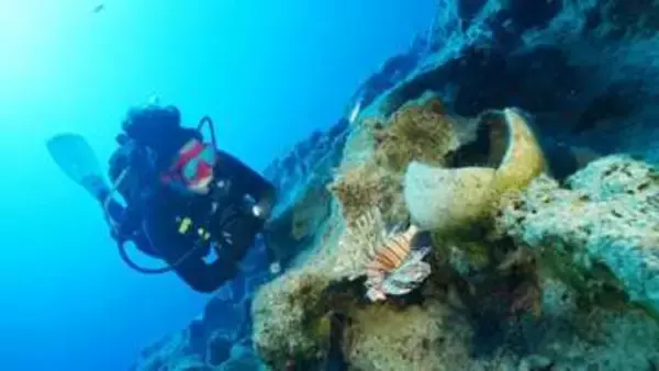 「世界最古の沈没船」痕跡を発見　トルコ沖で4千年前のつぼ