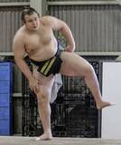 「綱とり安青錦に注目　大相撲春場所、8日に初日」の画像1