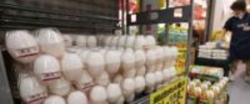 鶏卵、最高値308円に　1パック、平年比27％高