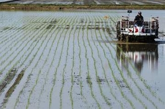 【独自】主食用米、20県で増産へ　作付け意向、飼料用へ転換進まず